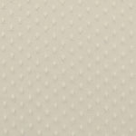 Tulle Plumeti Écru - Ribes y Casals