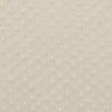 Tulle Plumeti Écru - Ribes y Casals