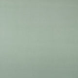 Tissu Viscose Vert Menthe - Ribes y Casals