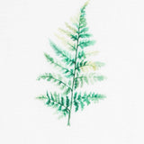 Voilage Herbier - Ribes y Casals