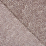 Viscose Mini Léopard Bleu Clair - Ribes y Casals