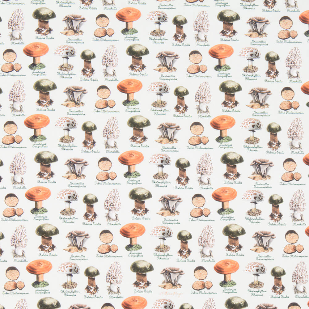 Popeline Champignons Vert - Ribes y Casals