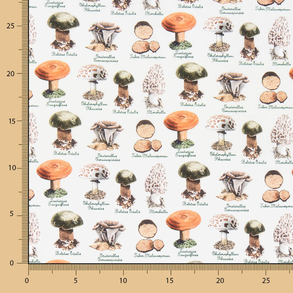 Popeline Champignons Vert - Ribes y Casals