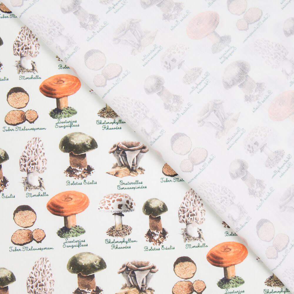 Popeline Champignons Vert - Ribes y Casals