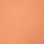 Plat en polyester saumon - Ribes y Casals