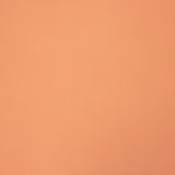 Plat en polyester saumon - Ribes y Casals