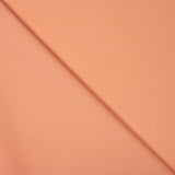 Plat en polyester saumon - Ribes y Casals