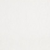 Tissu Broderie Suisse Maxi Fleurs Blanc - Ribes y Casals