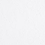 Tissu Broderie Suisse Branches Blanc Cassé - Ribes y Casals