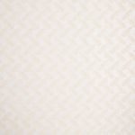 Gaze Polyester Broderie Branches Ecru - Ribes y Casals