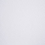 Broderie Suisse Brindilles - Ribes y Casals