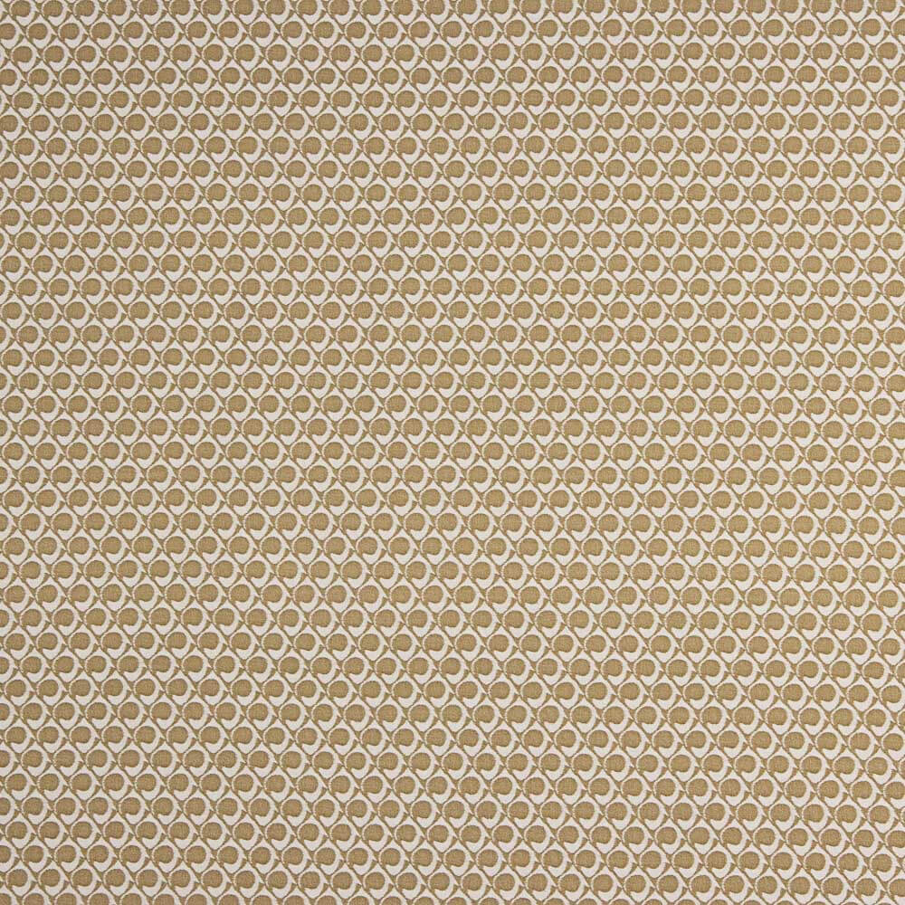 Élastique Jacquard Icône Albero - Ribes y Casals