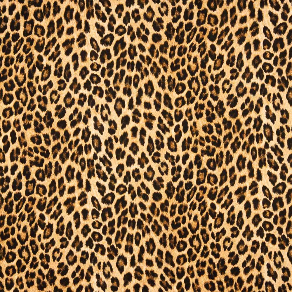 Mat Satin Léopard - Ribes y Casals