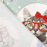 Toile Petit Chaton - Ribes y Casals