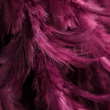 Tissu Plumes Fuchsia - Ribes y Casals