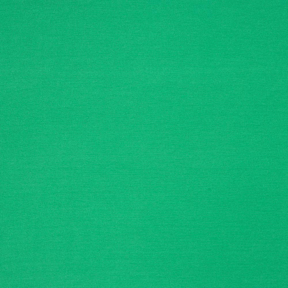 Tissu Jersey Viscose Vert Passion - Ribes y Casals