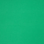 Tissu Jersey Viscose Vert Passion - Ribes y Casals