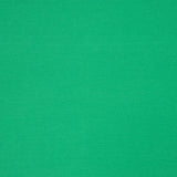 Tissu Jersey Viscose Vert Passion - Ribes y Casals