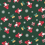 Coton Père Noël Vert - Ribes y Casals