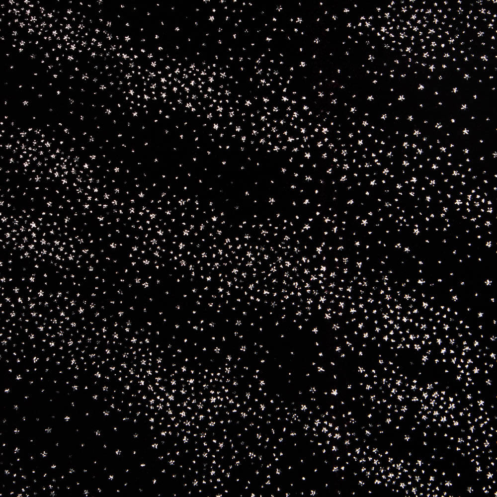 Spandex Velvet Sparkle Noir - Ribes y Casals