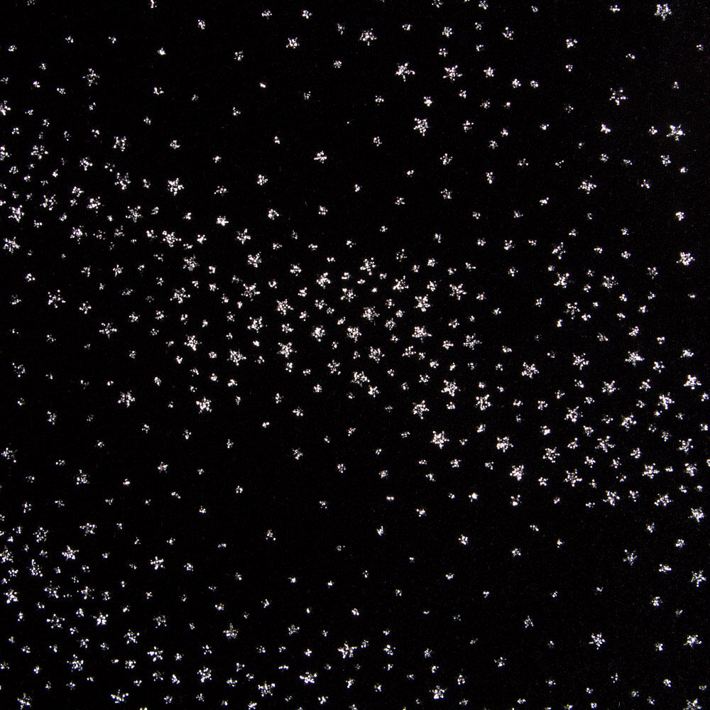 Spandex Velvet Sparkle Noir - Ribes y Casals