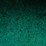 Velours Mode Vert Bouteille - Ribes y Casals