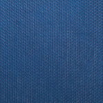 TNT Bleu Soutenu - Ribes y Casals