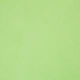 TNT Vert Pomme - Ribes y Casals