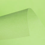 TNT Vert Pomme - Ribes y Casals