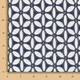 Jean Ajouré Géo - Ribes y Casals