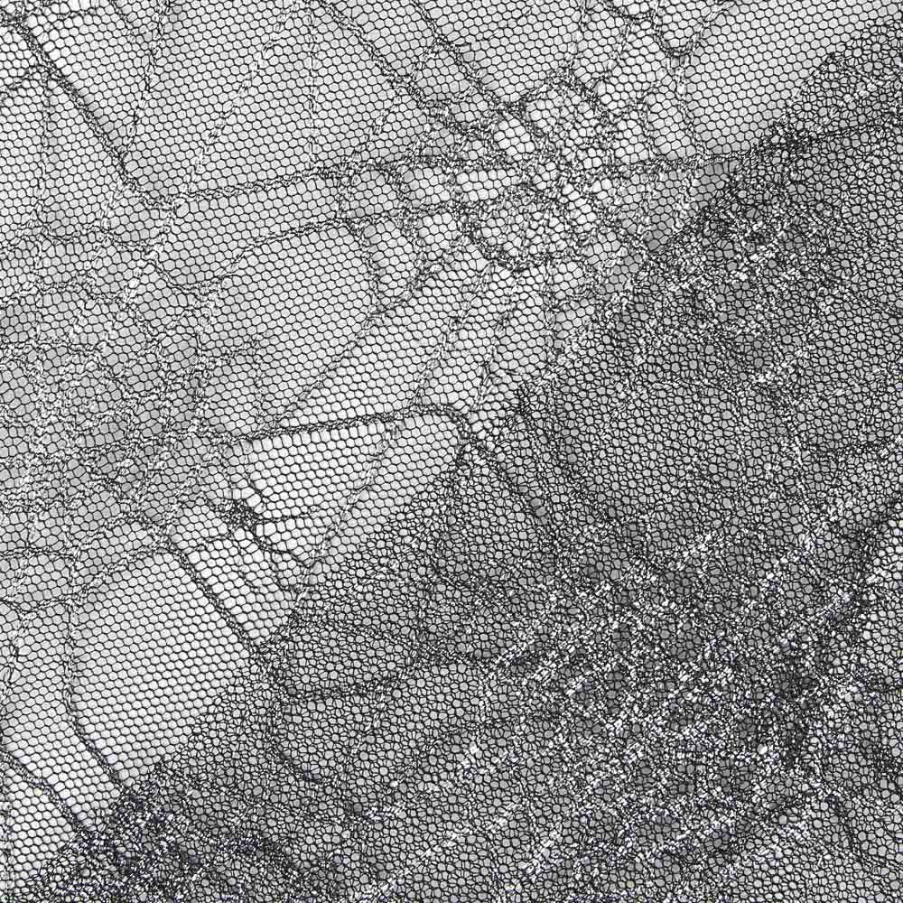 Toile Imprimé Araignée Argent - Ribes y Casals