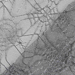 Toile Imprimé Araignée Argent - Ribes y Casals