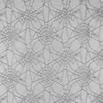 Toile Imprimé Araignée Argent - Ribes y Casals