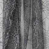 Toile Imprimé Araignée Argent - Ribes y Casals