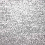 Tulle Lycra Paillette Argent - Ribes y Casals