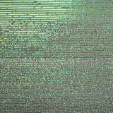 Tulle Lycra Paillettes Vert Clair - Ribes y Casals