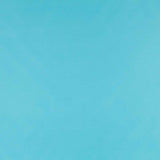 Tissu French-terry Bleu - Ribes y Casals