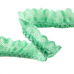 Bande de dentelle vert menthe 22 mm - Ribes y Casals