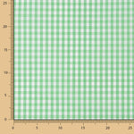 Vichy vert pomme moyen - Ribes y Casals