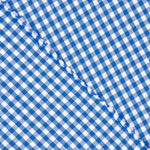 Mini vichy bleu - Ribes y Casals