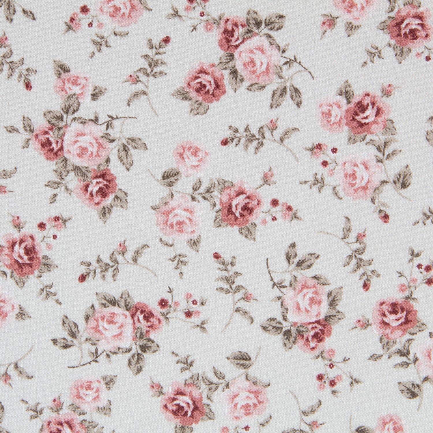 Viyella Viscose Crétonne Beige - Ribes y Casals