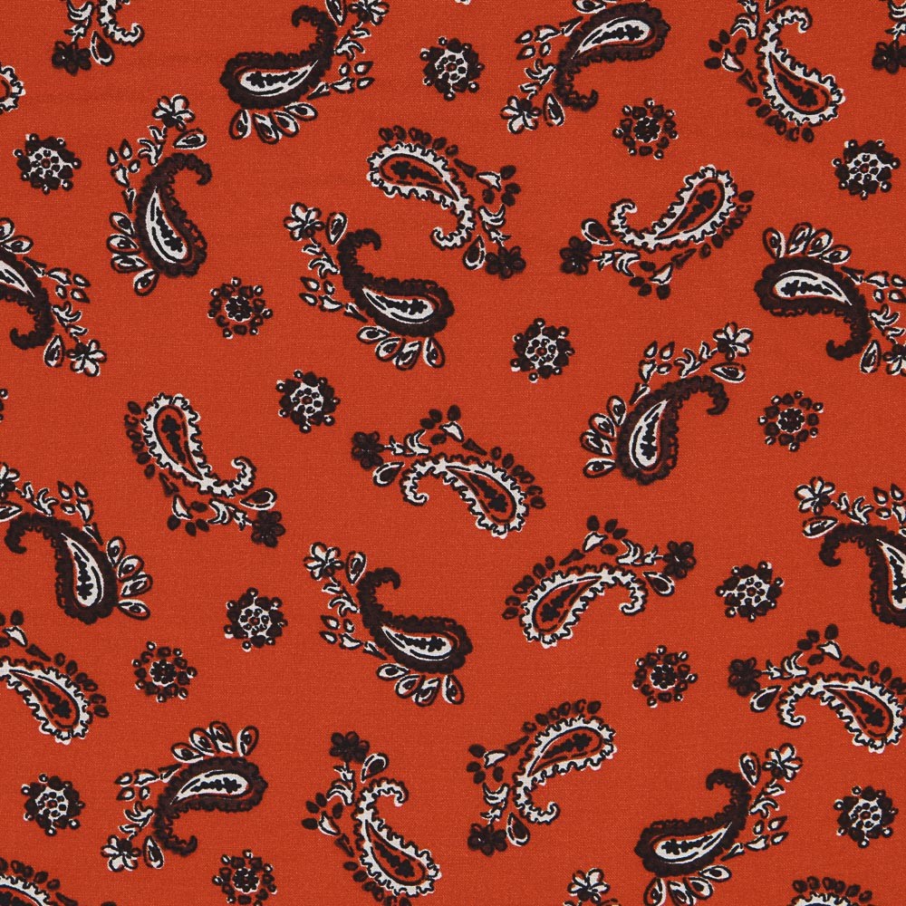 Viscose Cachemire Orange - Ribes y Casals