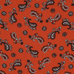 Viscose Cachemire Orange - Ribes y Casals
