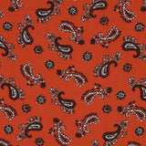 Viscose Cachemire Orange - Ribes y Casals