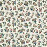 Crétonne Ecru Viscose Imprimé - Ribes y Casals