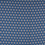 Viscose Ethnique Bleu - Ribes y Casals