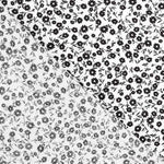 Viscose Forêt Blanche - Ribes y Casals