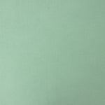 Viscose Uni Vert Menthe - Ribes y Casals