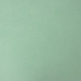 Viscose Uni Vert Menthe - Ribes y Casals