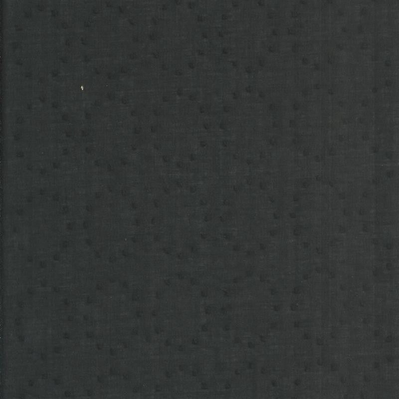 Voile Plumetti Noir - Ribes y Casals